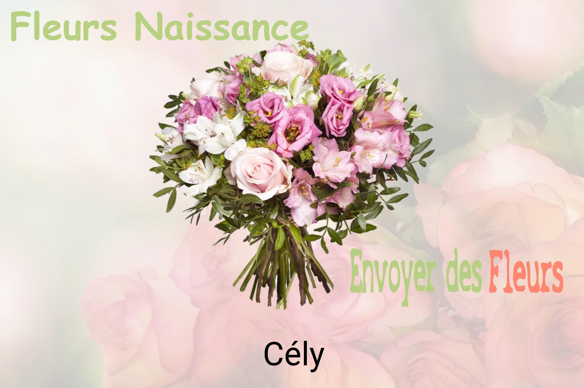 Bouquet de fleurs de naissance livré à Cély