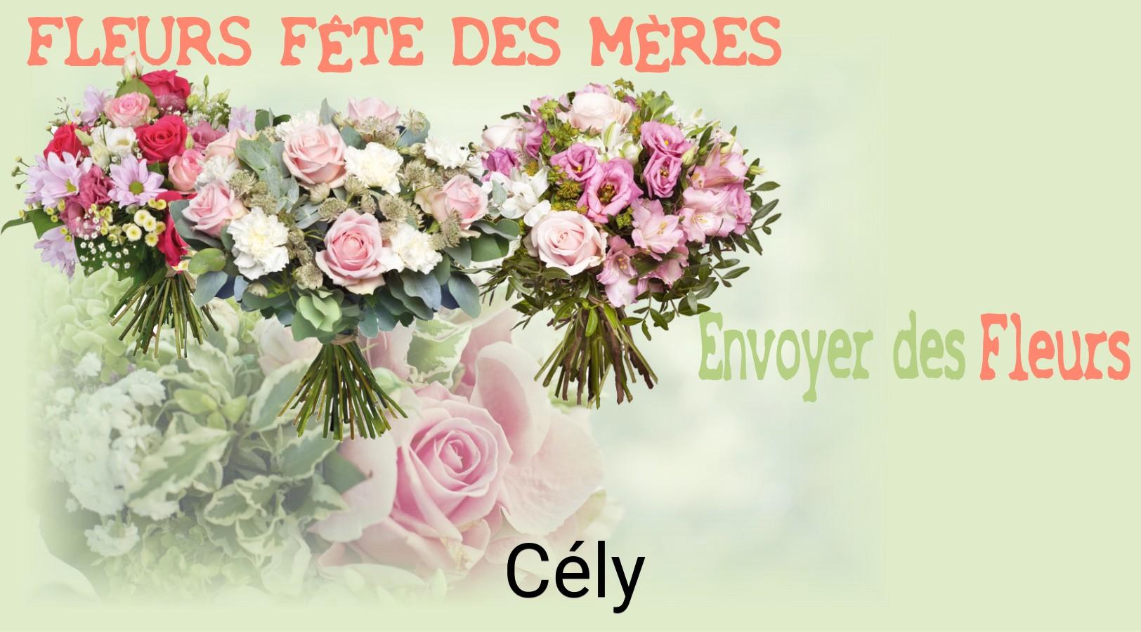 Bouquet de Fête des Mères livré à Cély
